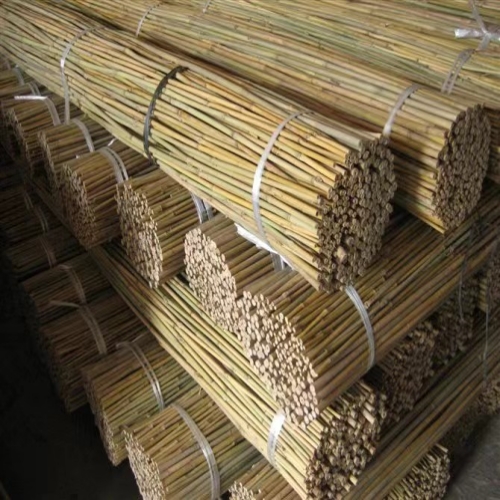 BAMBOO CANES