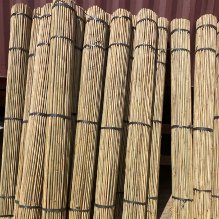 BAMBOO CANES